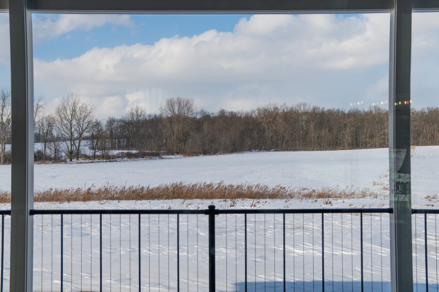 Beard - 4050 Pennington-47