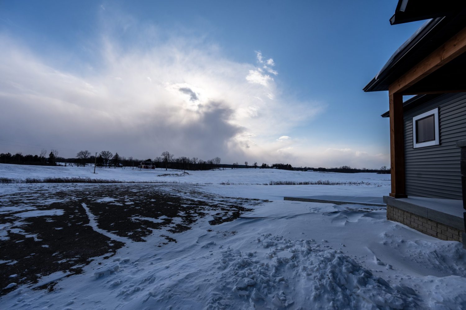 Beard - 4050 Pennington-55